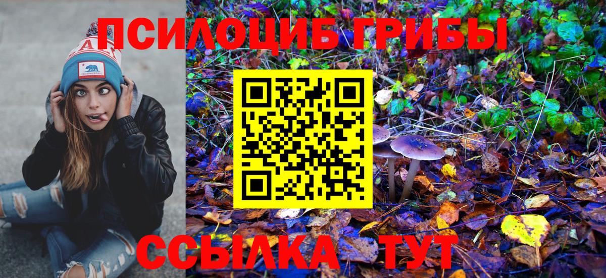 Галлюциногенные грибы мицелий Белгород
